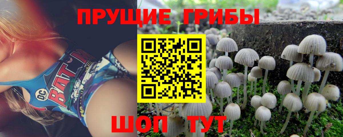 Псилоцибиновые грибы мицелий Малгобек